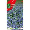 Arborix Semi di Lobelia Cascade - Per Bordure a Lunga Fioritura - Colore Blu - 0,4 g