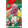 Arborix Lobelia Semi di Colori Misti - Fiori da Tagliare - Giallo, Rosso, Bianco - 0,4 g