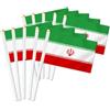 Petite Pine 25 bandiere portatili dell'Iran, bandiere tenute in mano con decorazione iraniana, striscione decorativo