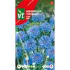 Arborix Semi di Centaurea Blu - Fiordaliso - Fioritura in Campagna - Colore Blu - Fiore Reciso Ideale per Bouquet