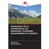 Thaier Alwan Al Évaluation de la combinaison de kétamine, tramadol, (Tascabile)