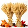 Minnhua 200PCS Spighe di Grano Decorative Fiori Essiccati Grano 40cm | Bouquet Fiori Secchi Naturali Fiori Finti da Interno per Decorazioni Casa Vaso Tavolo Matrimonio DIY 40cm