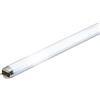 PHILIPS L1586 Master TL-D Super 80 Lampade Fluorescenti, 15W/865, 1Sl/25