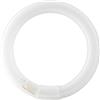 Philips - Lampada fluorescente Actinic BL TL/10 22 Watt UV - Trappola per insetti, ad anello
