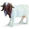 SCHLEICH Capra boera Schleich 13258