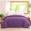 WAVVE Piumino Letto Matrimoniale 4 Stagioni 220x240 - Piumone Autunnale Invernale 220 x 240 cm - Coperta Trapunta 240x220 di Microfibra Sintetico, Viola