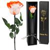Yamonic Rosa Stabilizzata Regalo Donna,Rosa Eterna con Steli Regalo per Donne Compleanno,Idee Regali per Lei,Regali Mamma Natale San Valentino Festa della Mamma,Vera Rosa