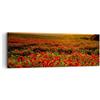 ARTTOR Moderno Quadro su Tela 90x30 cm Stampe da Parete Botanica Paesaggi - 3643 | Papavero Fiore Prato Quadro Decorativo Piccolo 1 pezzo Soggiorno Camera da Letto Arte da Parete Decorazione da Parete ARTTOR