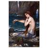 Posterlounge La sirena Poster | 20 x 30 cm di John William Waterhouse Quadri Decorazione per pareti
