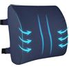 HomDSim Cuscino Lombare in Memory Foam Supporto per la Parte Bassa della Schiena Cuscino per Correggere la Postura Sedile Auto Casa Sedia da Ufficio