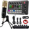 ALLWIN Scheda audio live e interfaccia audio con effetti mixer DJ e cambia vocale, mixer audio stereo Bluetooth F988, per streaming live Youtube, PC, studio di registrazione (‎Streaming Microphone kit)