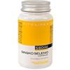 LABORATORIO SODINI GINKGO/SELEN CMP 70CPS