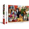 Trefl Puzzles - 1000 - Katzentreffen