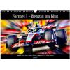 CALVENDO Formula 1: l'essenza nel sangue (calendario da parete 2027 DIN A3 verticale), CALVENDO calendario mensile