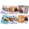 Pigna confezione 10 Maxi Quaderni A4 DOLCI CUCCIOLI, pagine 80+risguardo,quadretto 1 cm