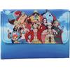 SD TOYS - Portamanga Group One Piece - Custodia per i tuoi libri maniche preferite - Custodia protettiva manica - Misure 21x16cm
