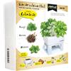 Semillas Batlle 160117UNID Seed Box Culinarias