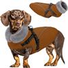 Queenmore Cappottino Cane Taglia Piccola XS, Cappotto Cane Impermeabile | Caldo Vestito Cane Leggero per Chihuahua/Pomeranian/Yorkshire Terrier per Passeggiate Quotidiane Nei Mesi Più Freddi