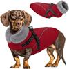Queenmore Cappottino Cane Taglia Piccola XS, Cappotto Cane Impermeabile | Caldo Vestito Cane Leggero per Chihuahua/Pomeranian/Yorkshire Terrier per Passeggiate Quotidiane Nei Mesi Più Freddi