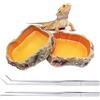 Reptile Growth terrario rettili 2 ciotole per cibo 2 Pinzette in acciaio inossidabile/molle 27 cm lunghe dritte/curve Per criceti, tarantole, draghi barbuti, tartarughe ，geco leopardino，serpente