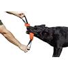 DINGO GEAR WWW.DINGOGEAR.COM 1977 Dingo Gear - Rimorchiatore in Nylon per addestramento Cani IGP & Fun, 2 Maniglie, Arancione, 28 x 7 cm