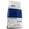 Signor Gatto Pure Bloom