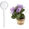 Relaxdays Bewässerungskugel 2er Glas Set da 2 Sfere per Irrigazione, Dosatori di Piante, Irrigatori per Ufficio, Vacanza, Ø 9 cm Vetro, Trasparente