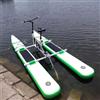 Generic Moto d'acqua con pedali singoli, kayak da turismo per sport acquatici, biciclette da mare, barche, canoe turistiche per adulti, veicoli a catena