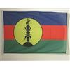 AZ FLAG Bandiera Nautica Nuova Caledonia 90x60 cm Anelli Plastica | Uso esterno e nautico bandiera nautica della Nuova Caledonia Nouvelle-Calédonie con anelli in plastica poliestere a rete
