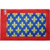 AZ FLAG Bandiera Sarthe 150x90 cm Stendardo Francese Poliestere 100D Asola | Uso interno ed esterno bandiera decorativa doppie cuciture e bordi rinforzati con guaina per asta