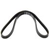 DAYCO 5PK862 CINGHIA POLY V COM.ALT.ALFA 145/146