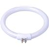 EKOKIM 2PCS Lampadina Fluorescente Circolare 11W T4, Lampadina Fluorescente 11W T4 Tubo Lampada Rotondo Tubo Luminoso Lente d'Ingrandimento Tubo Lampada