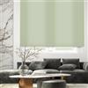 Blindecor Ara | Tenda a rullo traslucida tinta unita - Verde pastello, 80 x 175 cm (Larghezza x Altezza) | Dimensioni del tessuto 77 x 170 cm | Tenda per interne
