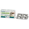 ECUPHAR ITALIA SRL PRAZITEL*4CPR