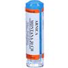 Hering Srl Hering Arnica Montana 30CH Granuli Multidose