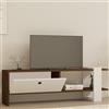 Dmora Mobile Porta TV Lavile 120x25x37h cm Bianco Un'anta 2 Vani, Apertura a Ribalta