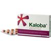 Dr.Willmar Schwabe Kaloba 20 mg - Rimedio Vegetale Contro Il Raffreddore 21 Compresse Rivestite