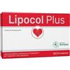 Anvest Health Lipocol Plus 30 Compresse - Integratore Per Il Controllo Del Colesterolo
