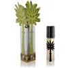 Ortigia Lime Di Sicilia Profumo Roll-On 10 Ml