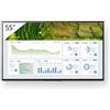 Sony PROMOZIONE Sony 55 4K 24/7 PROFESSIONAL BRAVIA Cod. FW-55BZ30L