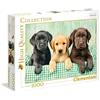 Clementoni - Collection Puzzle 1000 Pezzi per Adulti e Ragazzi, Illustrazione con Tre Cuccioli di Labrador Three Labs di Greg Cuddiford, Idea Regalo, Made in Italy, 70x50 cm, 39279