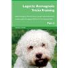 Training Centra Lagotto Romagnolo Tricks Training Lagotto Romagnolo (Tascabile)
