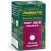 Sandemetrio Frutti Rossi Bio - 18 cialde