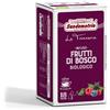 Sandemetrio Infuso gusto Frutti di bosco Bio - 18 filtri