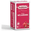 Sandemetrio Infuso Melagrana - 18 filtri