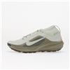 Nike Sneakers Nike ACG Pegasus Trail GORE-TEX Light Silver/ Light Silver/ Light Army