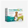 Youact Entero SOS 7+7 Bustine - Mangime Complementare | Per La Riduzione Dei Disturbi Intestinali Acuti. Fermenti Lattici Cane E Gatto In Caso Di Diarree E Periodi Di Convalescenza.