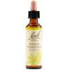 SCHWABE PHARMA ITALIA SRL WHITE CHEST BACH ORIG 20ML