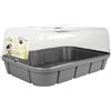 EDA - Mini Serra da coltivazione 15,7 litri, taglia L, 56 x 38 x 24 cm, colore: Grigio antracite