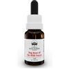 Bush Biotherapies Pty Ltd Australian Bush Flower Essences Dog Rose Of Whe Wild Force Integratore Per L'umore Gocce Orali 15ml